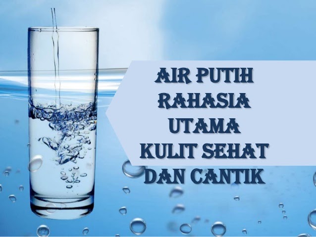 Berapa Liter Kita Harus Minum Air Putih Dalam Sehari Seputar Minuman My Xxx Hot Girl 3793
