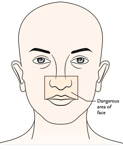 Human Face Parts / Illustration Of Parts Of A Human Face Royalty Free