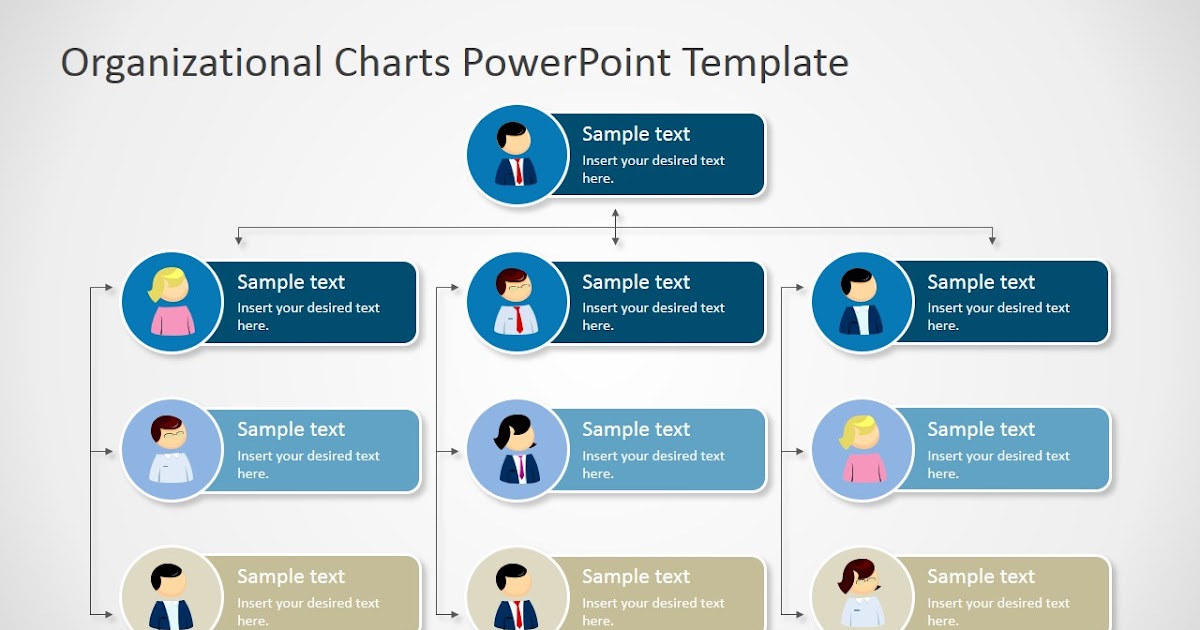 Sample Organization Chart Ppt The Document Template