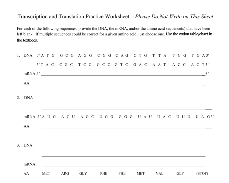 Transcription And Translation Worksheet Answer Key / Label