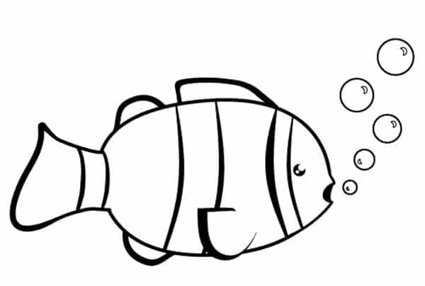 Dibujos De Animales Invertebrados Para Colorear Faciles | Dibujos I