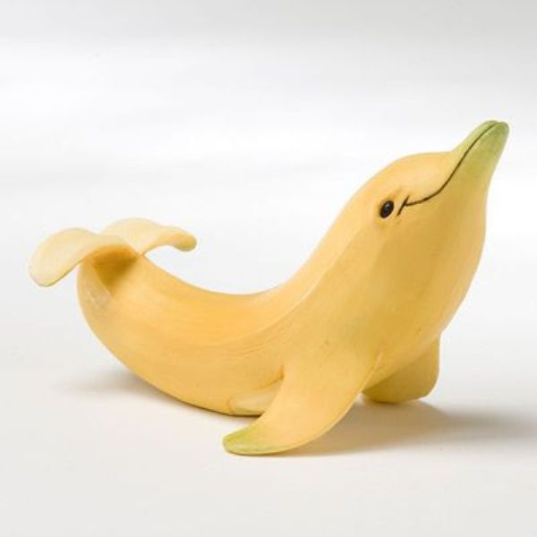 banana dolphin banana dolphin