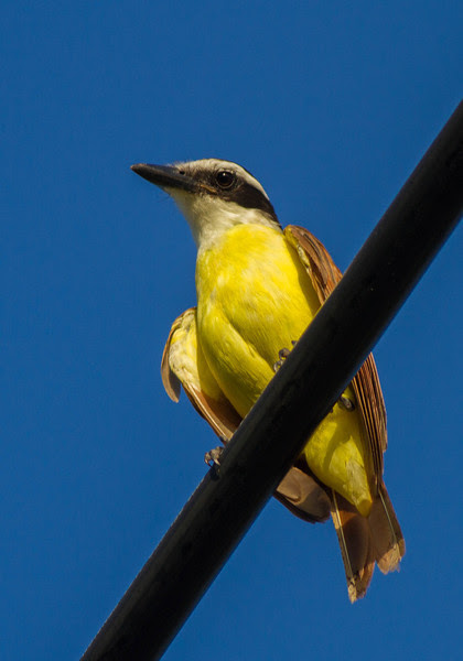 Photo & Video Sharing by SmugMug Photo & Video Sharing by SmugMug