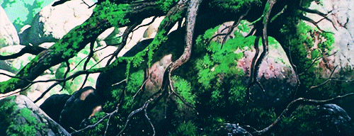 Anime Forest Gif / Discover & share this movie gif with everyone you