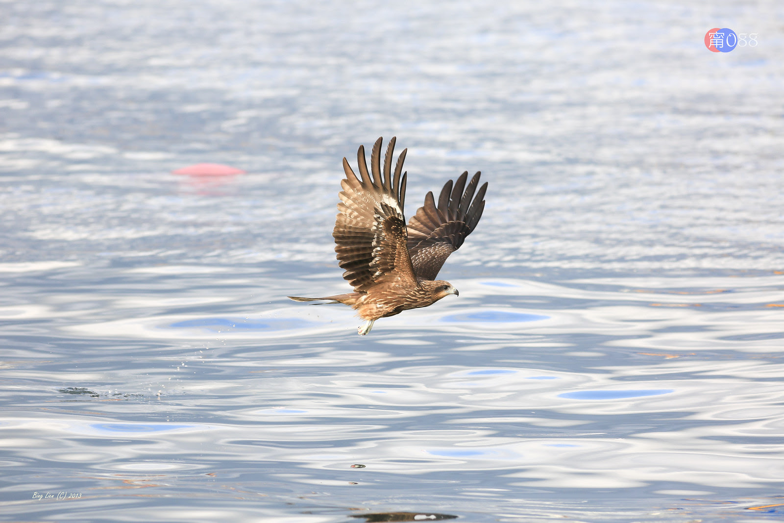 WATER_BING6834_LR