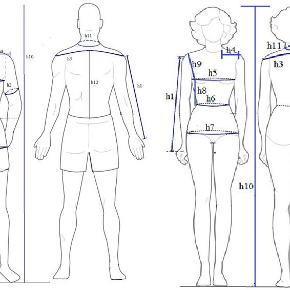 The Human Body Women : Female Internal Organs High Resolution Stock