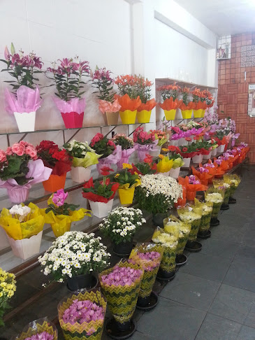 Floricultura Alpendre