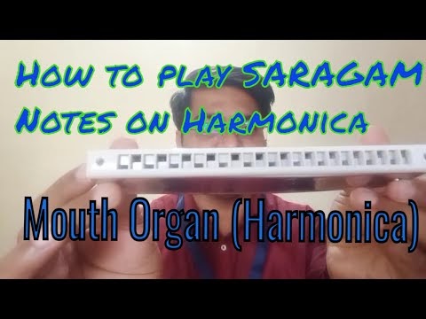 How to Play Harmonica / Mouth Organ.