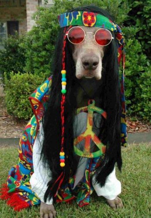 http://www.pinterest.com/pin/58828338857069473/ Hippie Hound dog