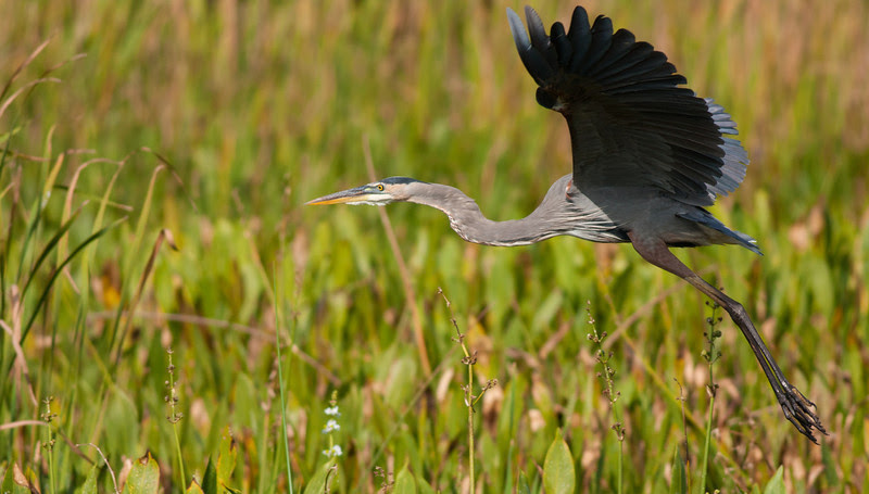 Photo & Video Sharing by SmugMug Photo & Video Sharing by SmugMug