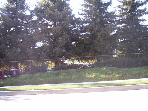 metblogs western ave walk