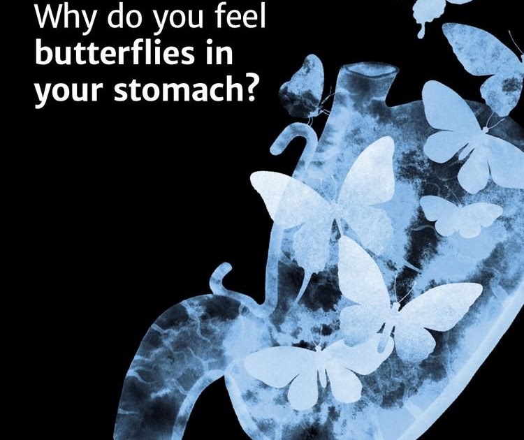 Butterfly In Stomach Butterfly Mania