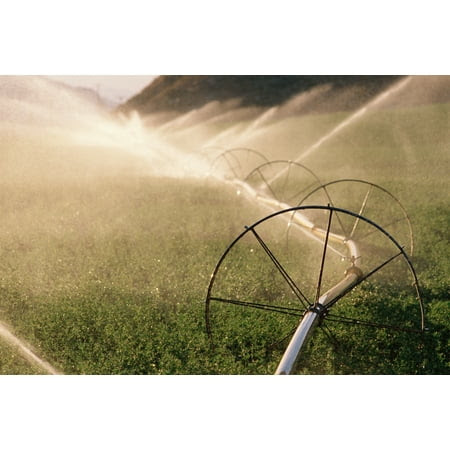 sprinkler