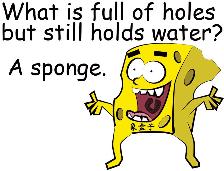sponge 海綿 holes 洞 破洞 孔眼