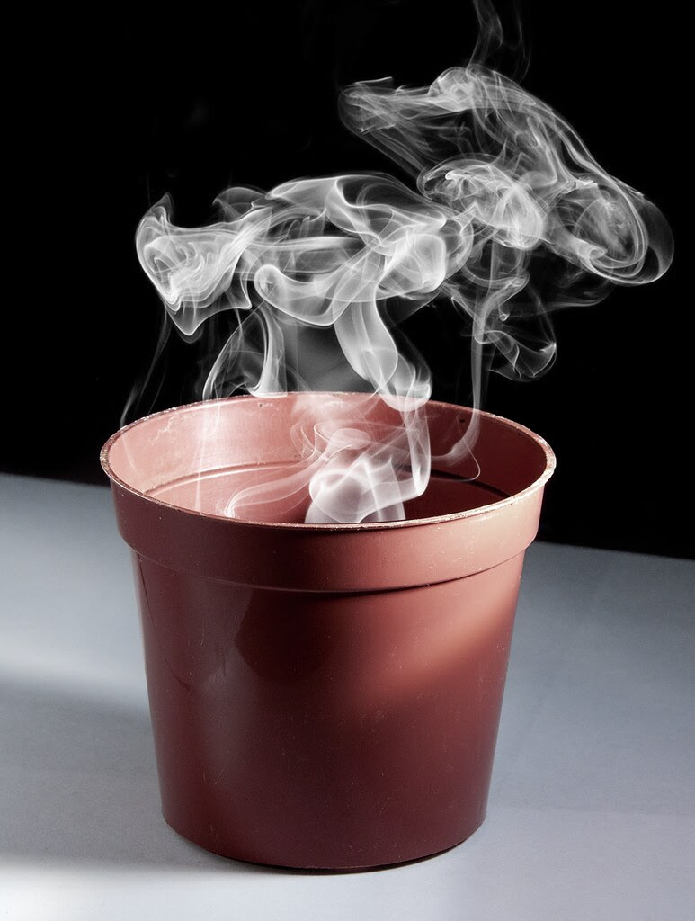 Smoking Pot