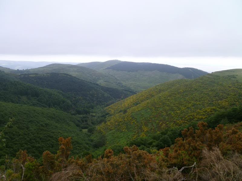 MartxaEzcaray2011073.jpg