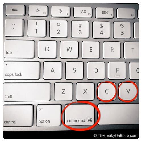 Featured image of post How To Copy And Paste On A Computer