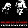Picus Maximus: Lullabies for the Cursed