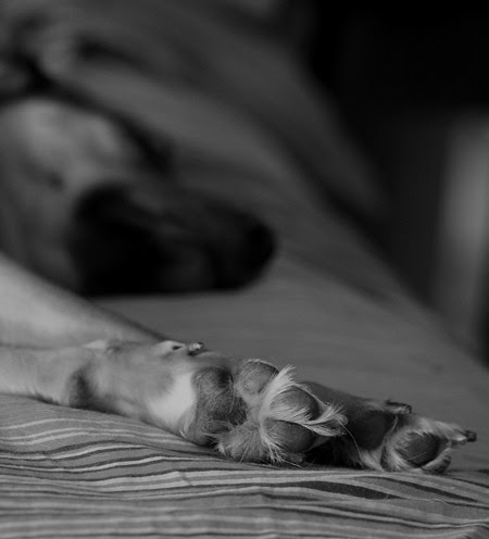 Celeste Feets!