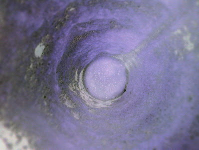 http://katadanrasa.files.wordpress.com/2009/03/lorongwaktu.jpg