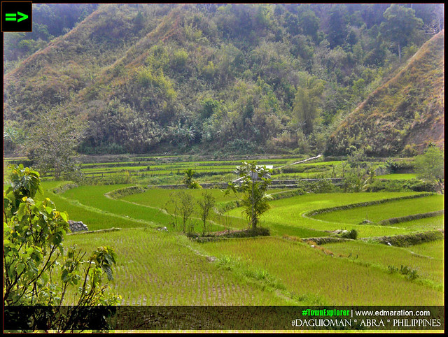 Geographically, Abra is a landlocked province... Rice fields of Daguioma, Abra