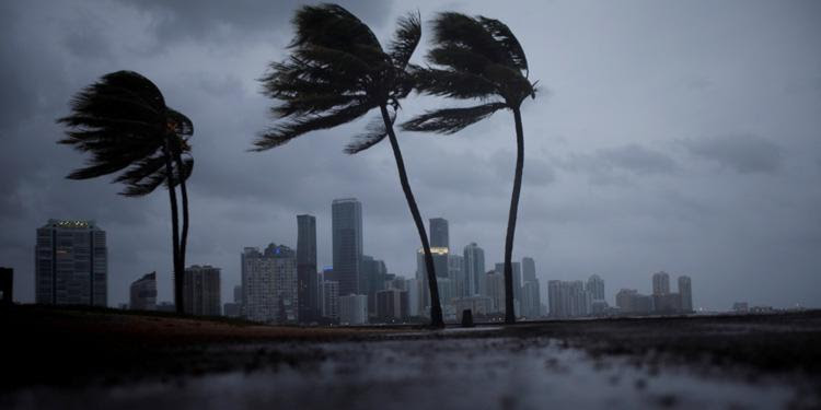 Risultati immagini per Florida