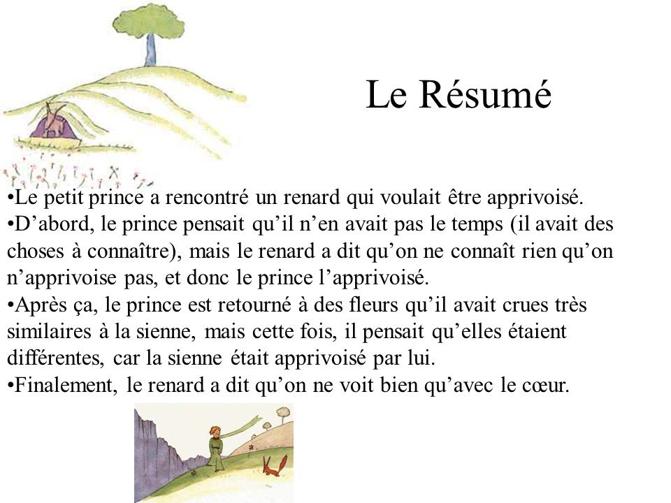 Le Petit Prince Citation Sur La Rose Killopps