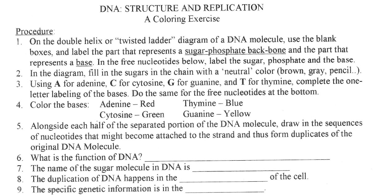 Dna Fingerprinting And Paternity Answer Key / Dna Fingerprinting And