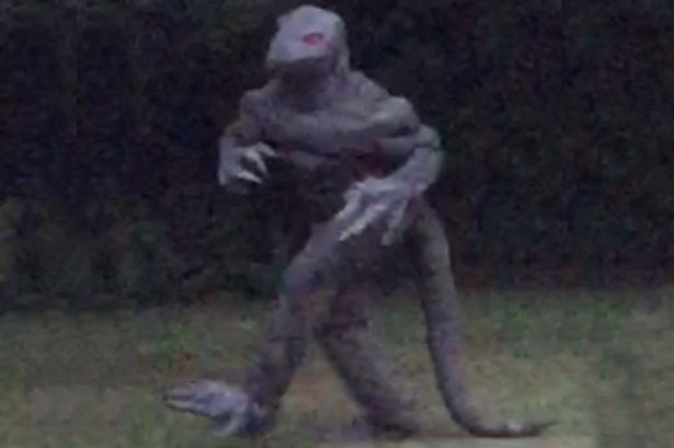 Is this the Lizard man?