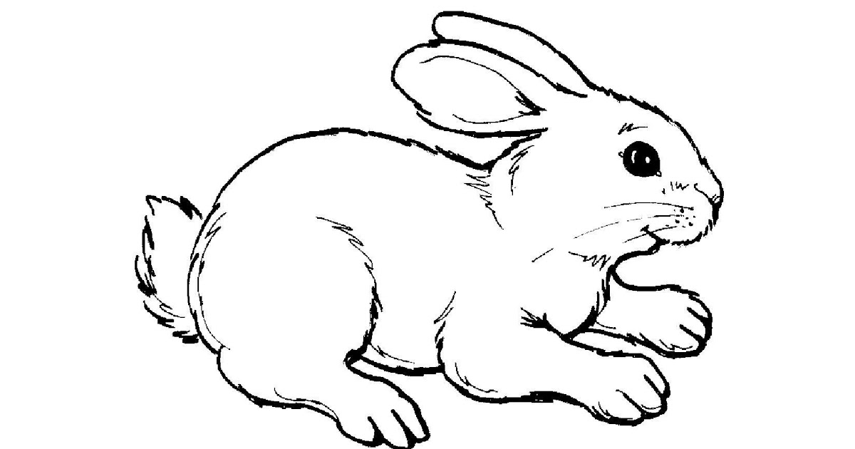 Awesome Farm Animal Faces Coloring Pages | Top Free Coloring Pages For Kids
