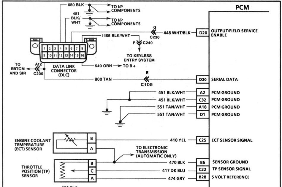 Lt1 Wiring Harness Diagram : 94 Lt1 Wiring Harnes - Wiring Diagram Networks