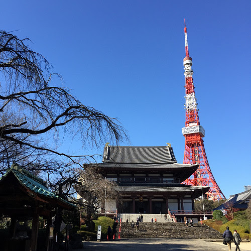 tokyo 817