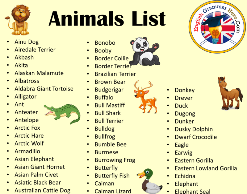 View 20 Non Domestic Animals Names List - artbellatopcc259