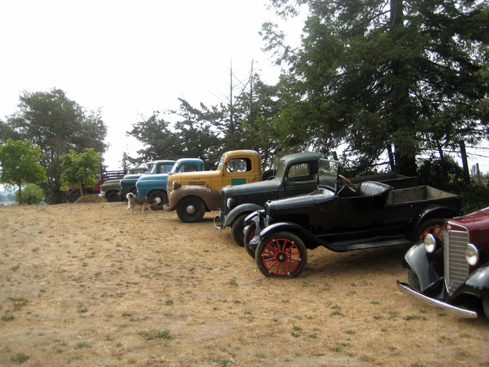 Cars1