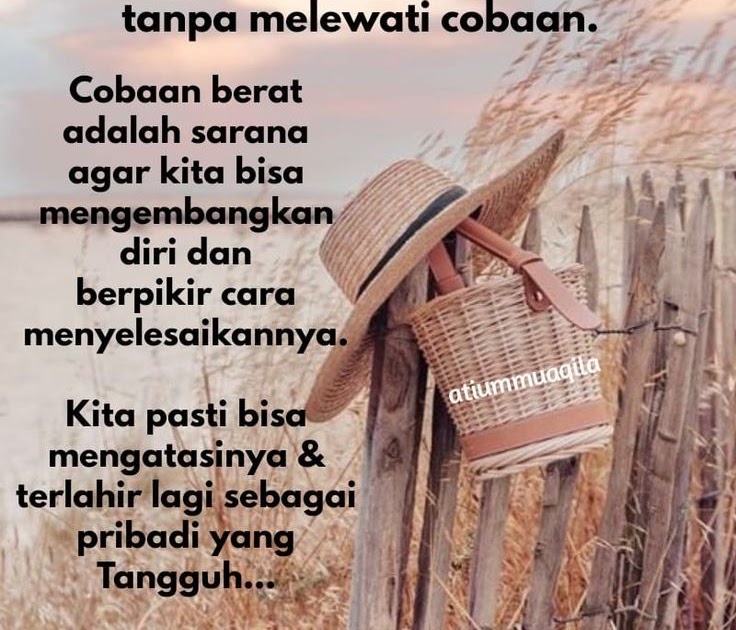 Kata Kata Bijak Hinata / 65+ Gambar Kata Kata Sahabat Sejati Selamanya