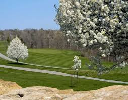 Golf Course «Teetering Rocks Golf Course», reviews and photos, 12040 E 86th St, Kansas City, MO 64138, USA