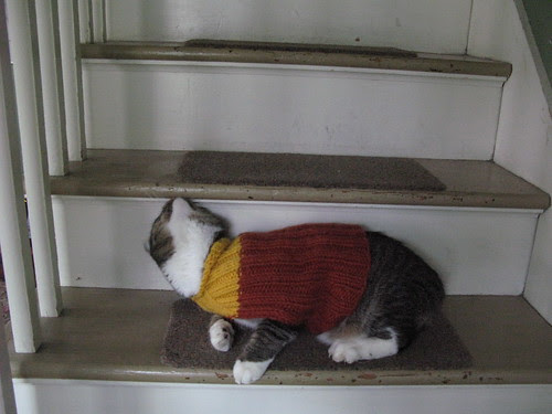 MF in his sweater