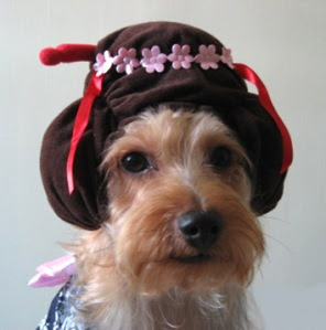 geisha-hat_bowie geisha-hat_bowie