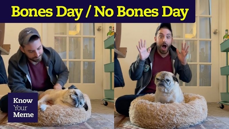 What Is 'Bones Day' And 'No Bones Day?' ~ NINEMEMES | Daily Hilarious