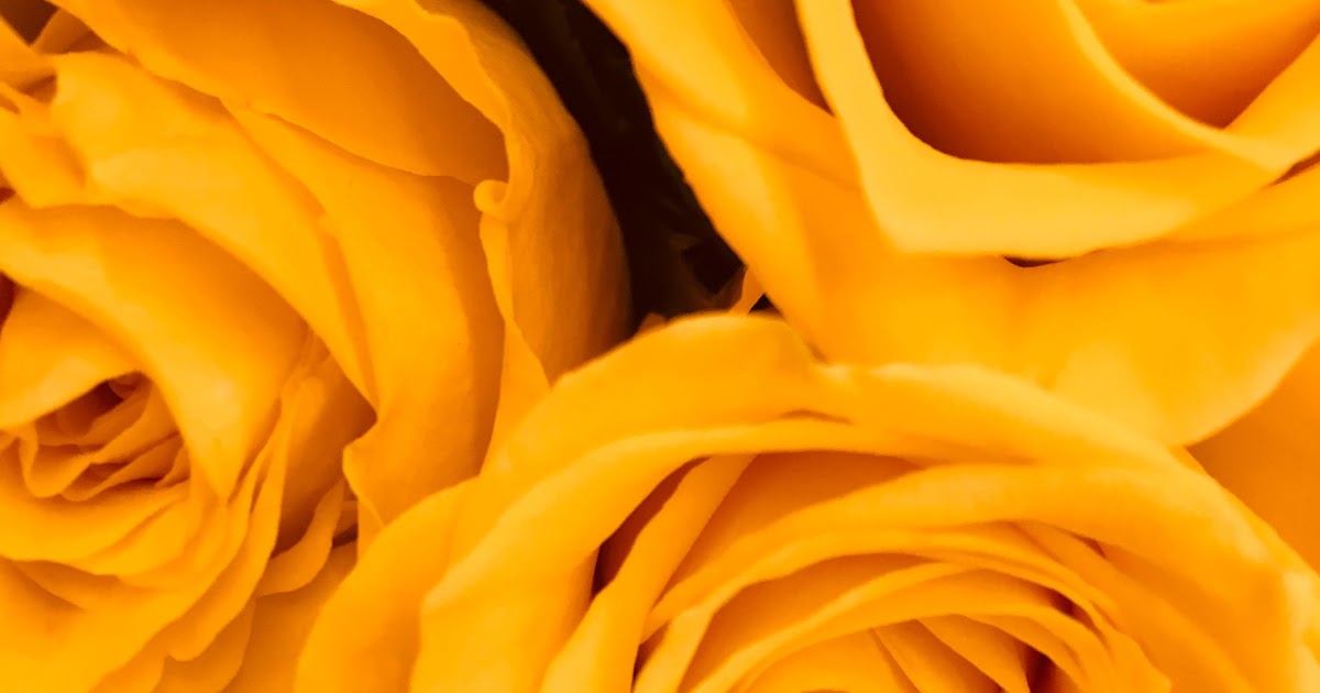 Amazing Neon Yellow Aesthetic Tumblr Images