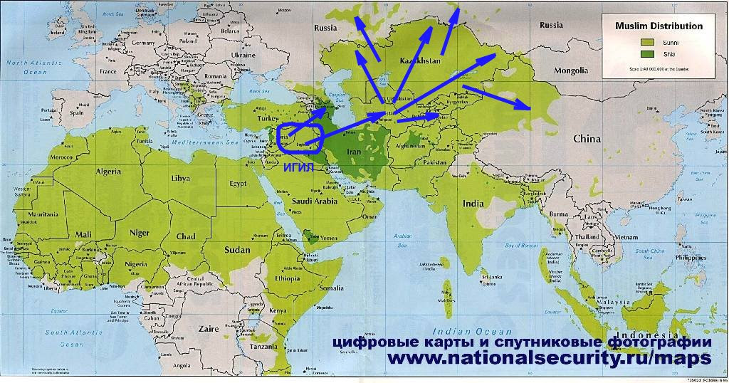Исламское государство карта. Карта распространения Ислама. Карта Исламского государства в случае Победы. Карта распространения исламских течений.