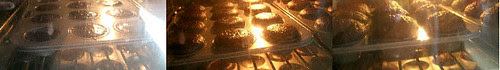 oven