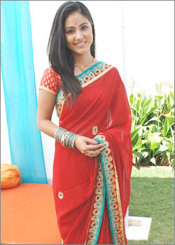 Latest Srees : Saree Design 2011: Akshara in saree