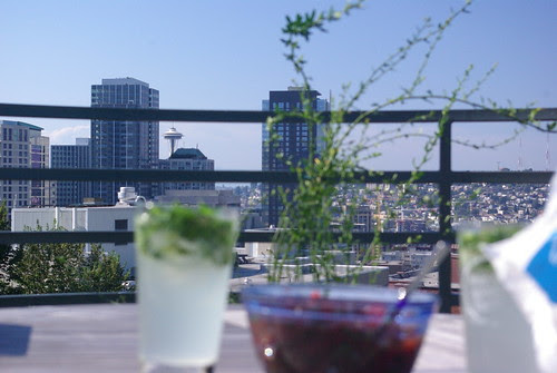 Salsa, Mojito, Jasmine, Focus