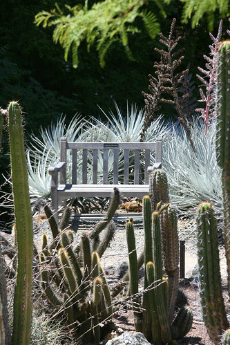prickly seat