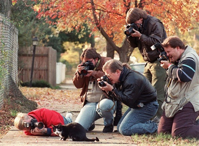 Photographer Photographer
