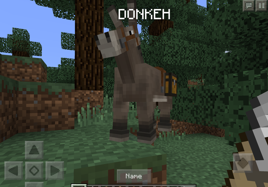 Cool Minecraft Names For Animals Download 900 630 Minecraft Name Tricks 37arts Net