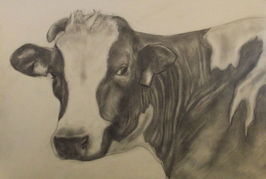 How To Draw A Cow Face Step By Step