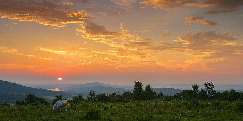 Photo & Video Sharing by SmugMug Photo & Video Sharing by SmugMug