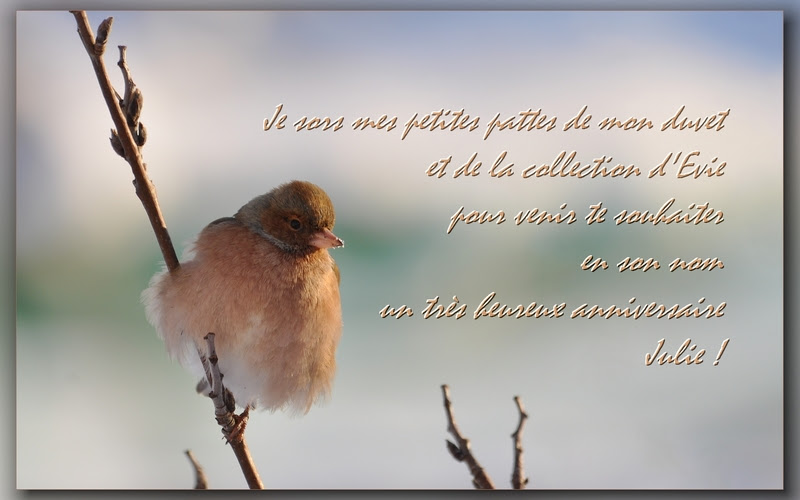 Message D�anniversaire Spirituel